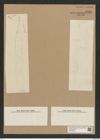 Rhizosolenia alata Brightw. (de-Toni-Nr.: Genus 114, Species 3311) Zeichnungen Sammlung Grunow Nr. 6700 (NHMW-BOT-W0375502)